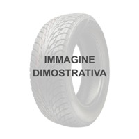 Foto pneumatico: ANLAS, AN TRACK 22/10 R10 39J Estive