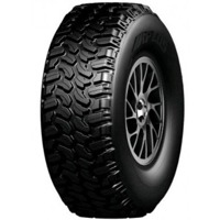 Foto pneumatico: APLUS, A 607 205/55 R17 95W Estive