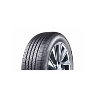 Foto pneumatico: APTANY, RP 203 185/55 R15 82V Estive