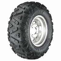 Foto pneumatico: ARTRAX, COUNTRAX LT AT-1306 25/10 R12 50N Estive