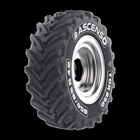 Foto pneumatico: ASCENSO, R1-W TDR650 540/65 R24 146D Estive