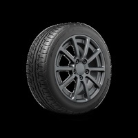 Foto pneumatico: BFGOODRICH, ADVANTAGE 165/70 R14 81T Estive