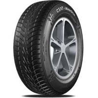 Foto pneumatico: CEAT, WINTERSPORTDRIVE 235/35 R19 91V Estive