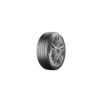 Foto pneumatico: CONTINENTAL, WINTERCONTACT TS 870 P FR 325/40 R22 114V Invernali