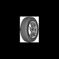 Foto pneumatico: DELINTE, DS2 SUV XL 225/55 R18 102W Estive