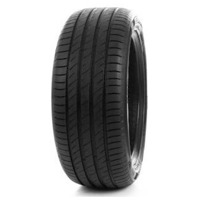 Foto pneumatico: DELINTE, DS2 205/55 R16 91V Estive