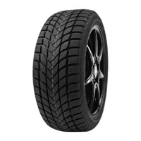 Foto pneumatico: DELINTE, WD 6 155/65 R14 75T Invernali