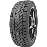 Foto pneumatico: DELINTE, WD6 205/50 R17 93H Invernali