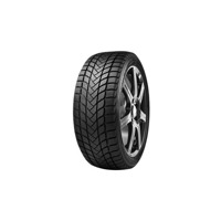 Foto pneumatico: DELINTE, WD 6 XL 195/45 R16 84H Invernali