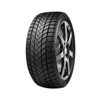 Foto pneumatico: DELINTE, WD 6 225/50 R17 98H Invernali