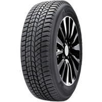 Foto pneumatico: DOUBLESTAR, DW02 255/45 R19 104T Invernali