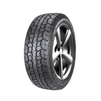 Foto pneumatico: DOUBLESTAR, W01 265/65 R17 120Q Estive