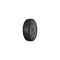 Foto pneumatico: DUNLOP, WINTER TRAIL 195/60 R15 88T Invernali