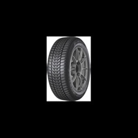 Foto pneumatico: DUNLOP, Winter Trail 225/45 R17 91H Invernali