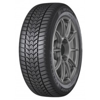 Foto pneumatico: DUNLOP, WINTER TRAIL 205/55 R16 91H Invernali