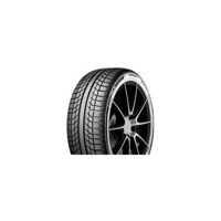 Foto pneumatico: EVERGREEN, EA-719 DYNACOMFORT 205/55 R16 94V Quattro-stagioni