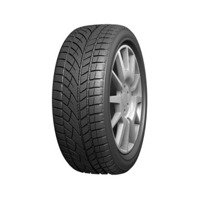 Foto pneumatico: EVERGREEN, ew66 195/65 R15 95T Invernali