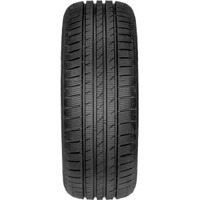 Foto pneumatico: FORTUNA, GOWIN UHP 215/55 R17 98H Invernali