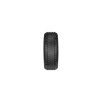 Foto pneumatico: FORTUNA, GOWIN UHP 215/50 R17 95V Invernali