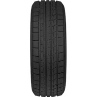 Foto pneumatico: FORTUNA, GOWIN UHP3 215/45 R17 91V Invernali