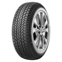 Foto pneumatico: GI TI, Winter W1 205/55 R17 95V Invernali