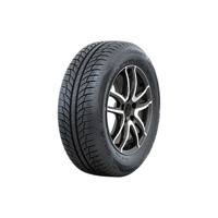 Foto pneumatico: GI TI, ALLSEASON AS1 205/55 R17 95W Quattro-stagioni