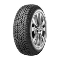 Foto pneumatico: GI TI, winter w1 205/55 R16 91H Invernali