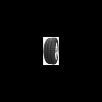 Foto pneumatico: GRENLANDER, WINTER GL868 205/55 R16 91H Invernali