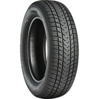 Foto pneumatico: GRIPMAX, SUREGRIP EWINTER 175/65 R17 87V Invernali