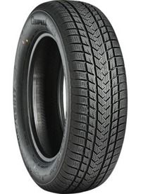 Foto pneumatico: GRIPMAX, STATUS PRO WINTER XL 205/60 R17 97V Invernali