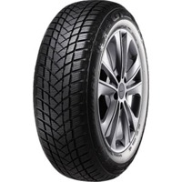 Foto pneumatico: GTRADIAL, CHAMPIRO ECOTEC 205/65 R14 94H Estive