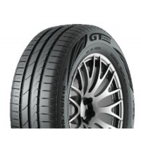 Foto pneumatico: GT Radial, CHAMPIRO FE2 205/55 R16 91V Estive