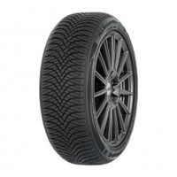 Foto pneumatico: Double Star, WINTERKING DW09 LAM 215/45 R17 91H Invernali