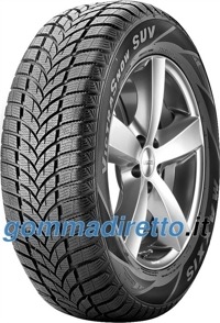 Foto pneumatico: MAXXIS, MA SW 235/75 R15 109T Invernali