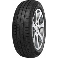 Foto pneumatico: MINERVA, F 209 175/65 R13 80T Estive