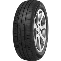 Foto pneumatico: MINERVA, F 209 195/65 R15 91V Estive