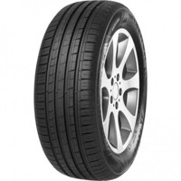 Foto pneumatico: MINERVA, F209 225/60 R16 98V Estive