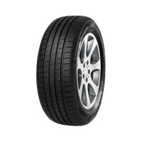 Foto pneumatico: MINERVA, F 209 215/65 R16 102V Estive