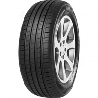 Foto pneumatico: MINERVA, F 209 215/65 R15 96H Estive