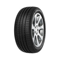 Foto pneumatico: MINERVA, F205 245/45 R17 99W Estive