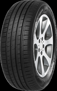 Foto pneumatico: MINERVA, F 209 205/50 R15 89V Estive