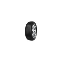 Foto pneumatico: MINERVA, F 209 XL 205/55 R16 94V Estive