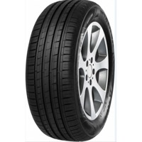 Foto pneumatico: MINERVA, F 209 215/65 R16 98H Estive