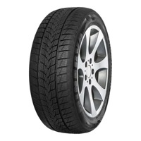 Foto pneumatico: MINERVA, FROSTRACK UHP 255/40 R21 102V Invernali