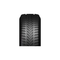 Foto pneumatico: MINERVA, FROSTRACK UHP 235/45 R19 99V Invernali