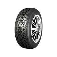 Foto pneumatico: NANKANG, SW-7 STUDDED 205/60 R15 91T Invernali