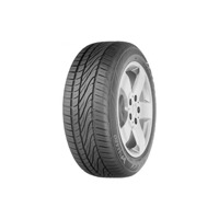 Foto pneumatico: PAXARO, PERFORMANCE 195/60 R15 88H Estive