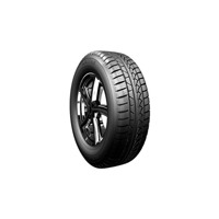 Foto pneumatico: PETLAS, SNOW MASTER W651 195/55 R15 85H Invernali