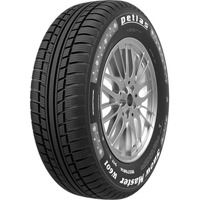 Foto pneumatico: PETLAS, SNOW MASTER W601 155/65 R13 73T Invernali