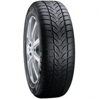 Foto pneumatico: PLATIN, RP 60 WINTER FR 225/60 R17 99H Invernali